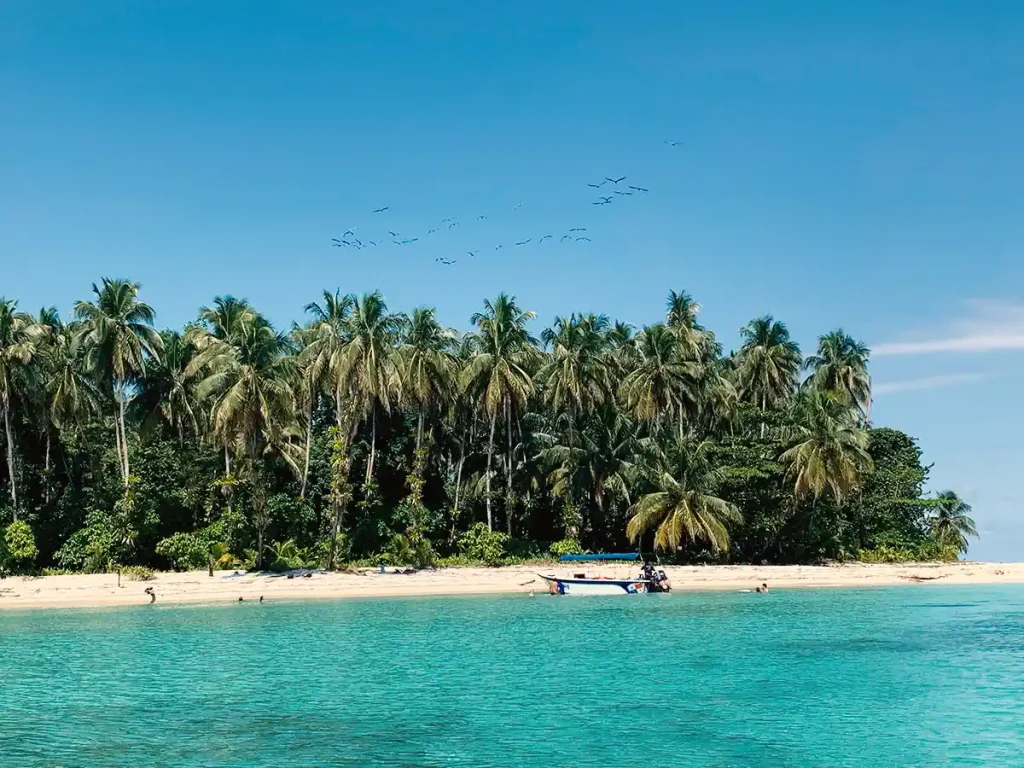 Diving on Bocas del Toro