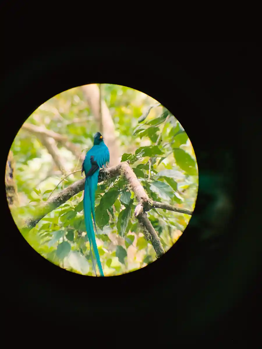 Quetzal trail in Boquete